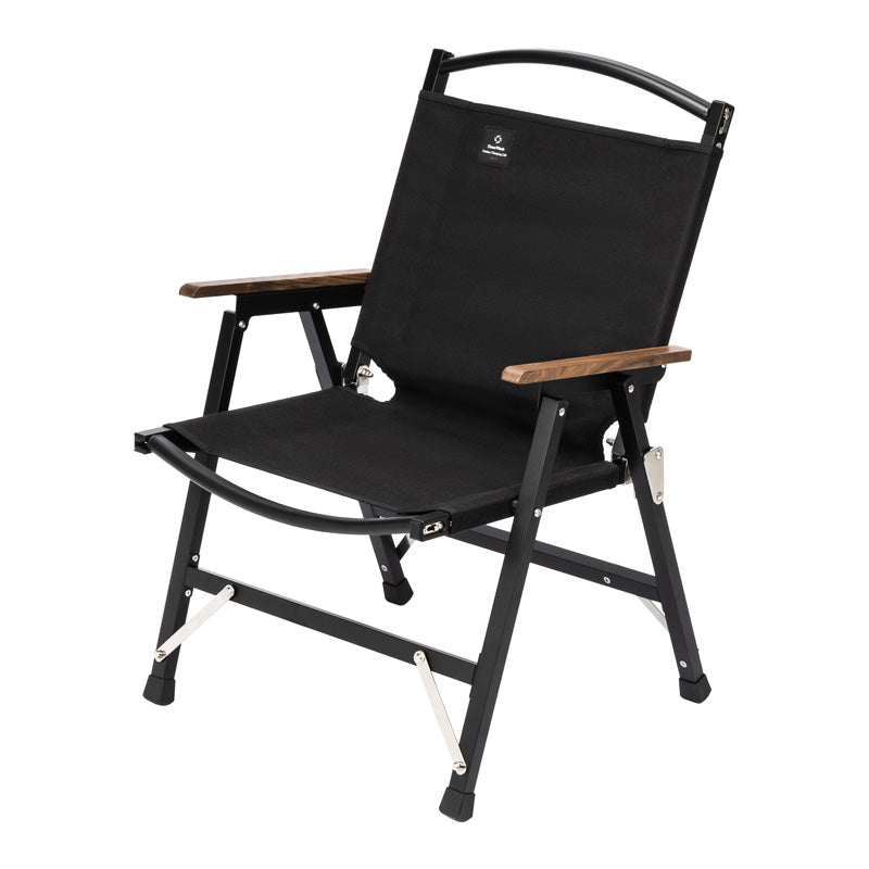Stylized Kermit Chair