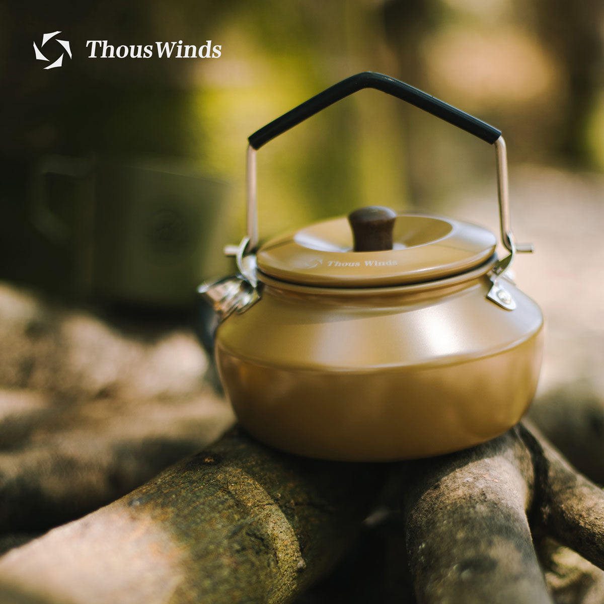 0.6L Mini Stainless Steel Kettle