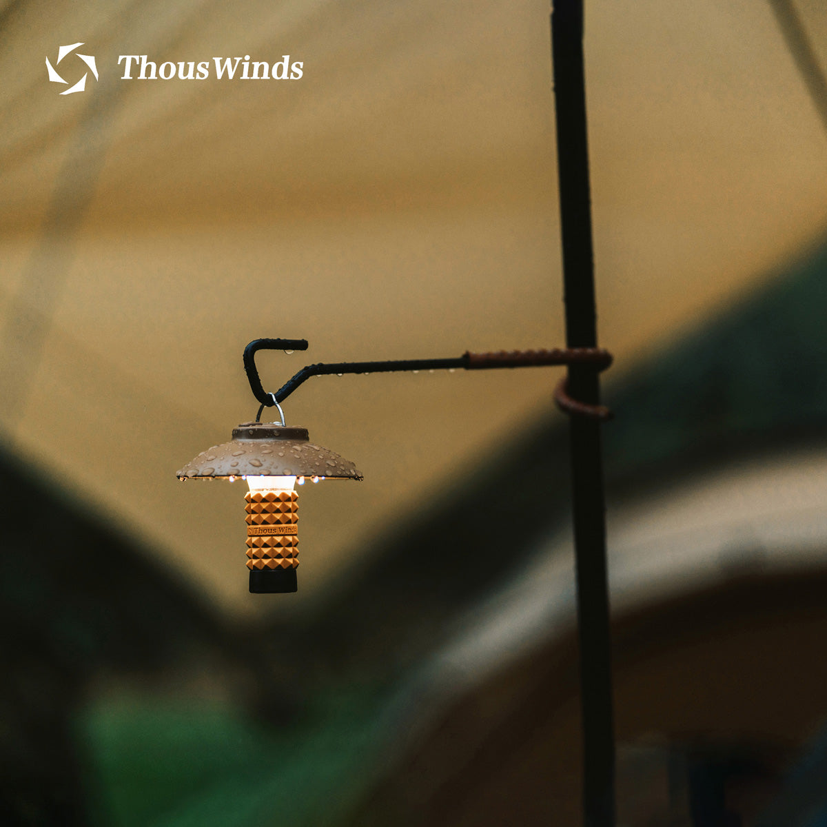 Brass Cowhide Lantern Hook Stand