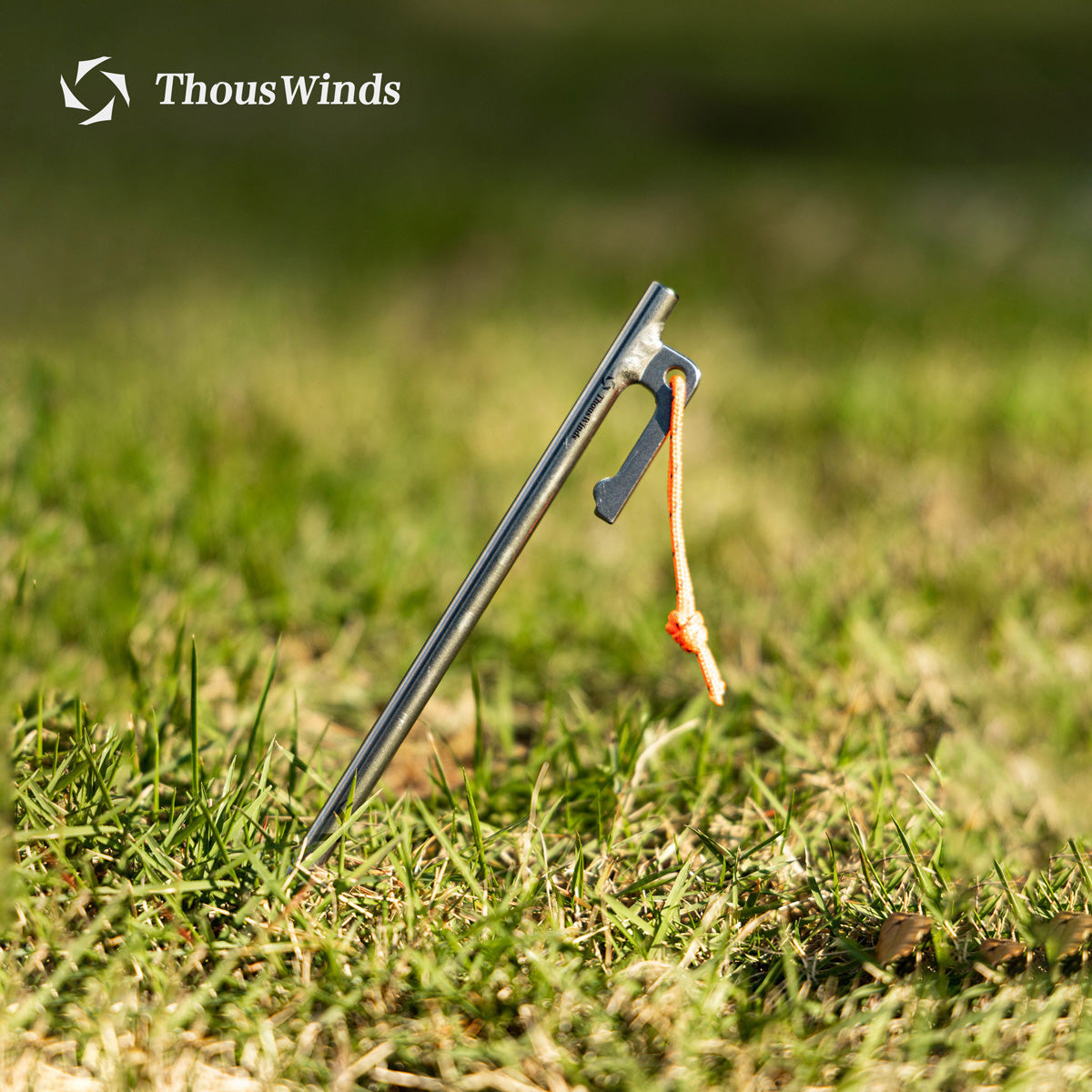 Ultralight Titanium Tent Pegs