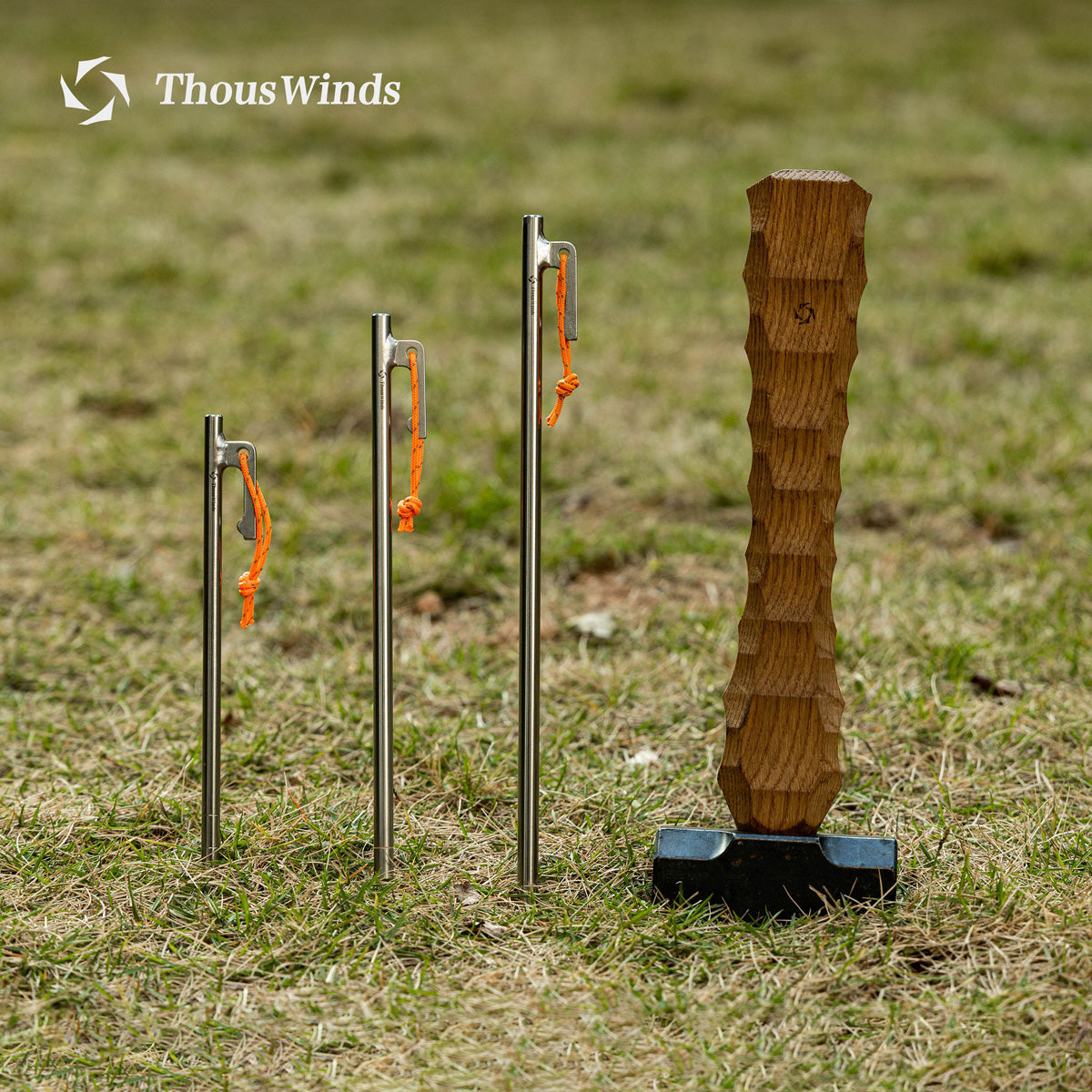 Ultralight Titanium Tent Pegs