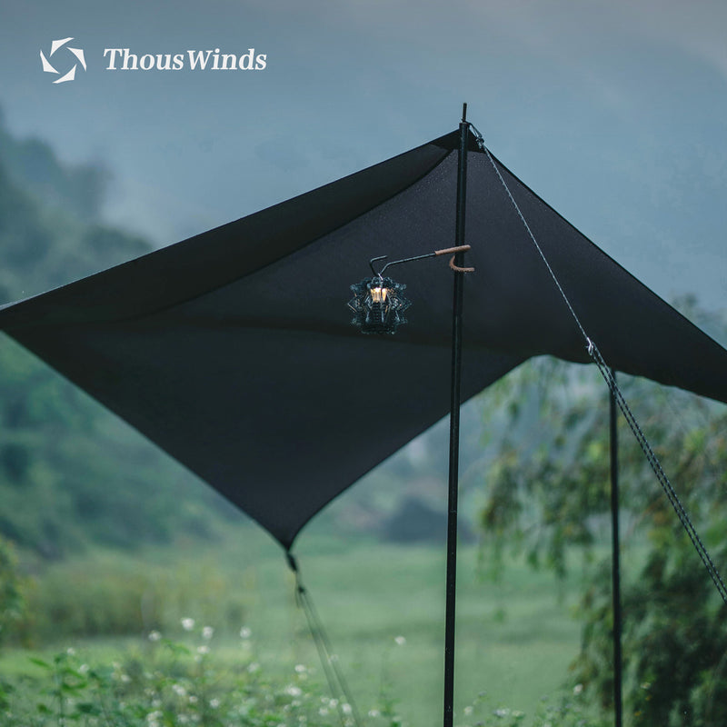 ThousWinds Aluminum Alloy Canopy Pole