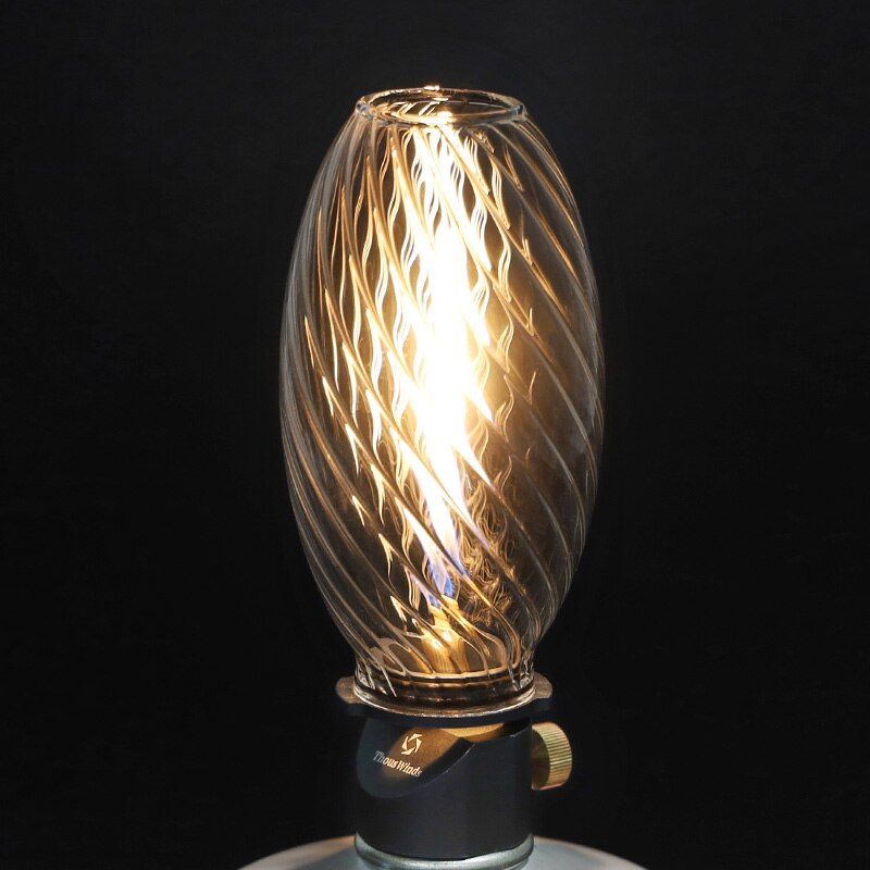 Portable Gas Lantern TW2009